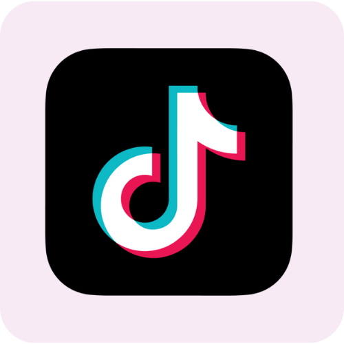TikTok Integration